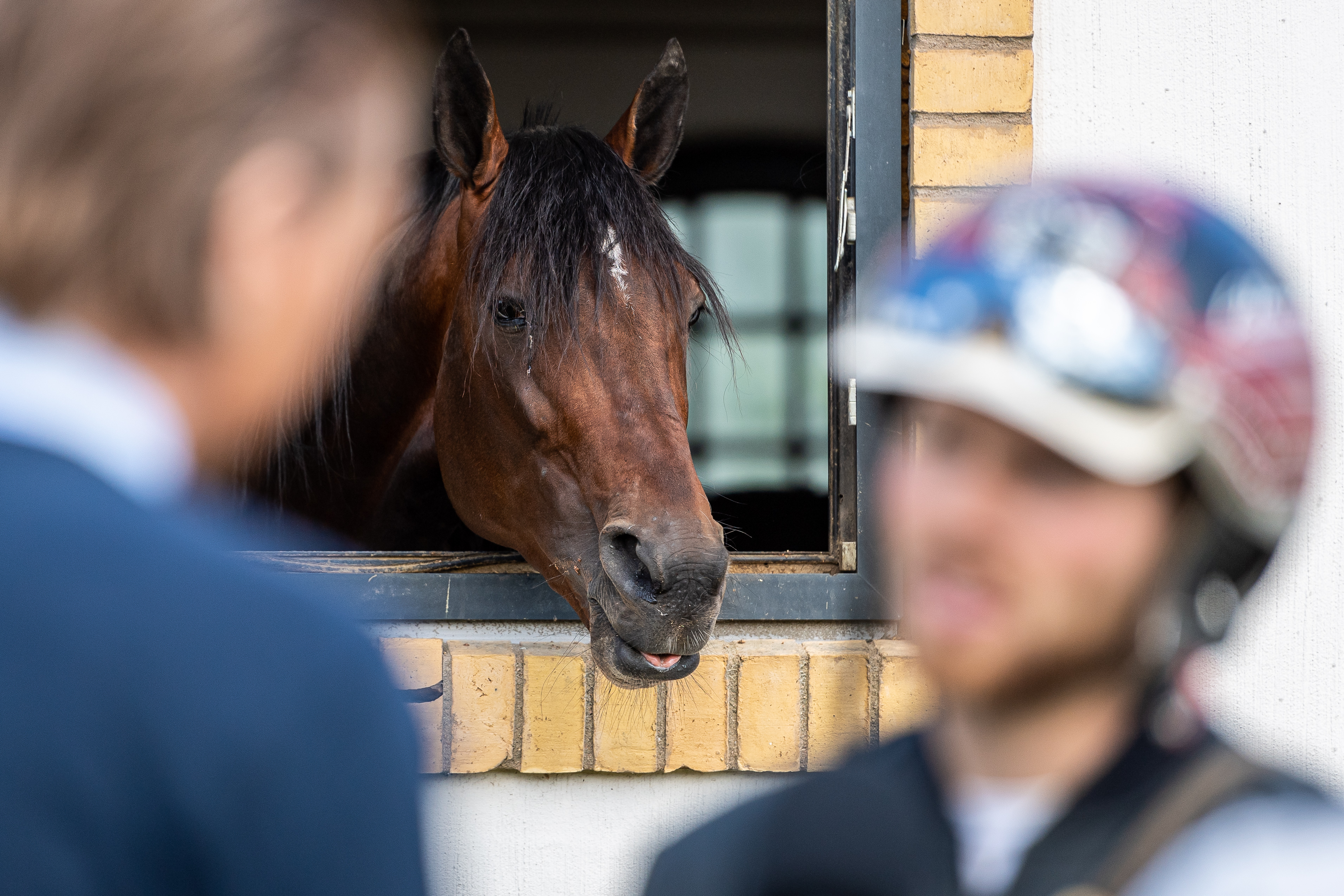 Jimmie Nordberg travtips