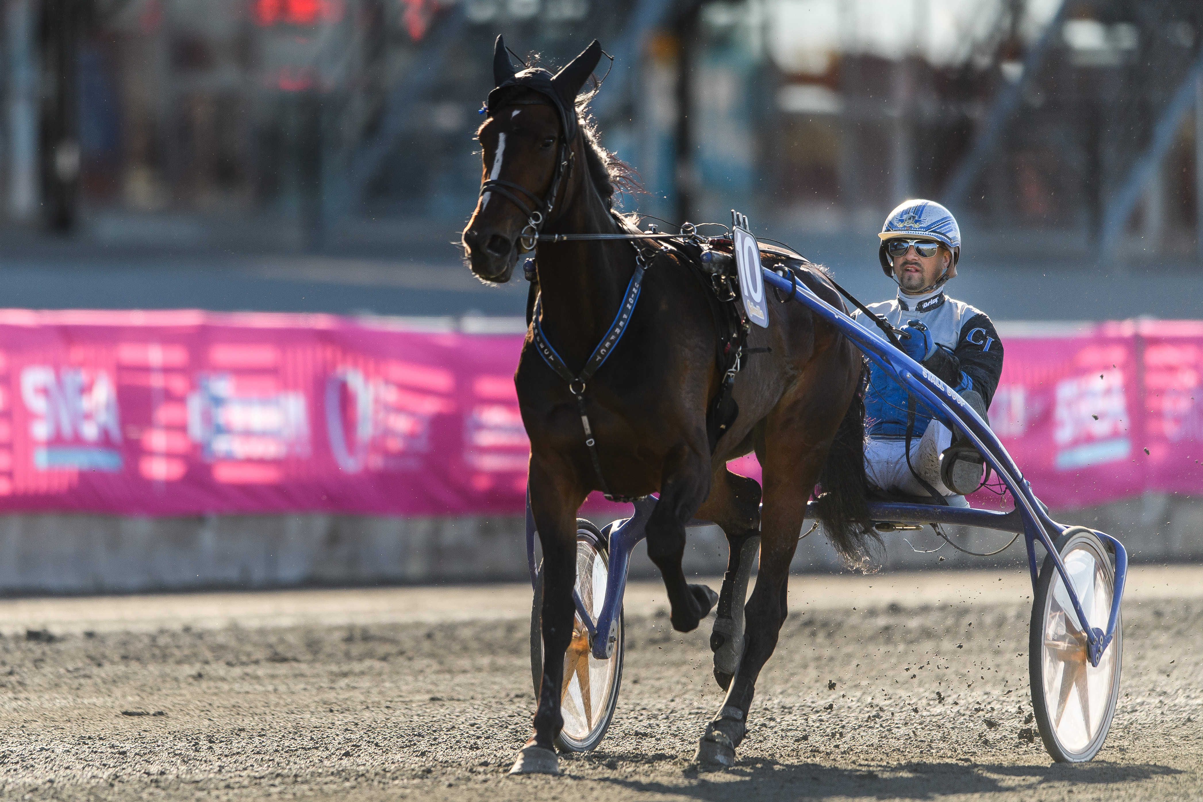 Travtips V86-tips: Är det Tures tur?