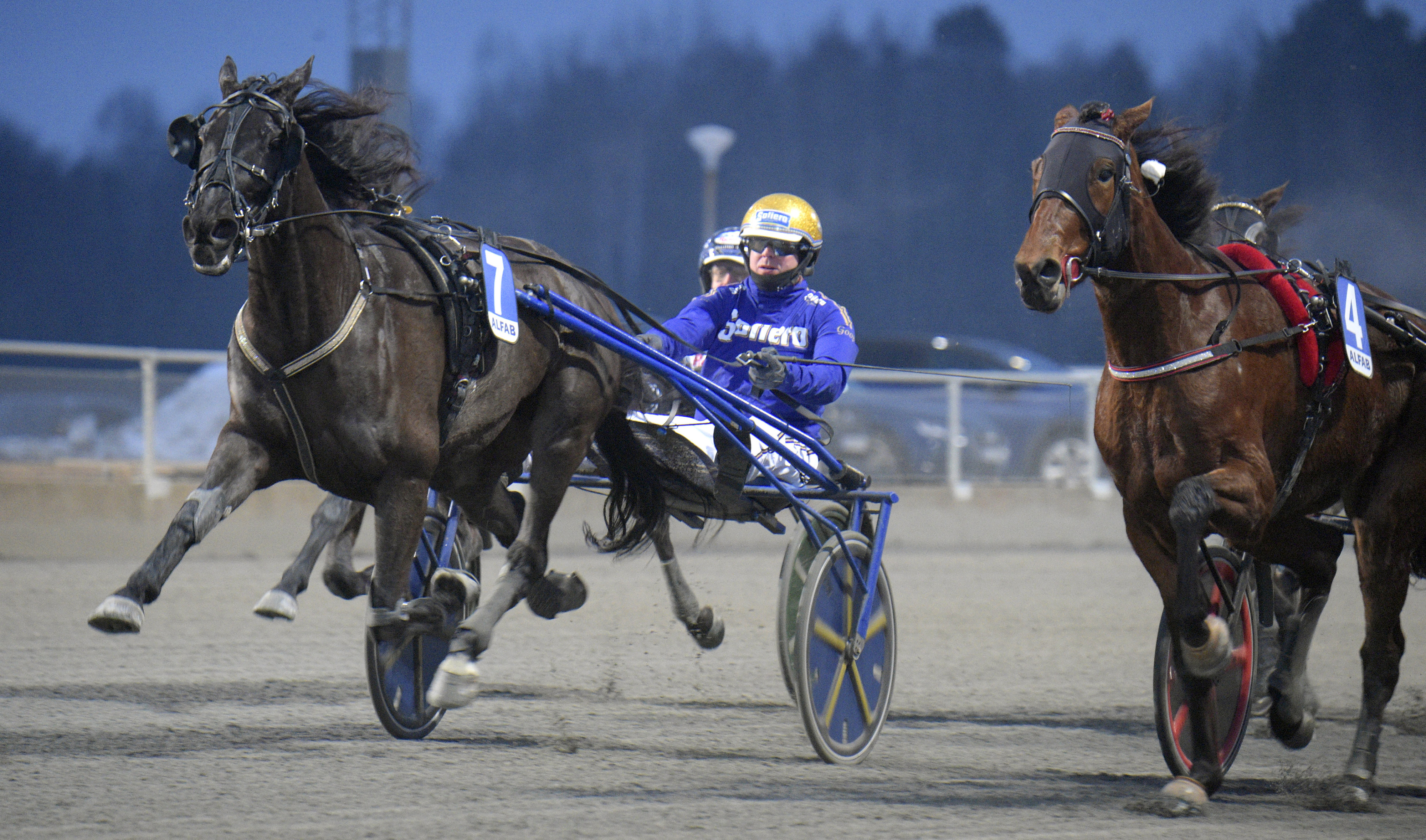 Christian Sandholm travtips