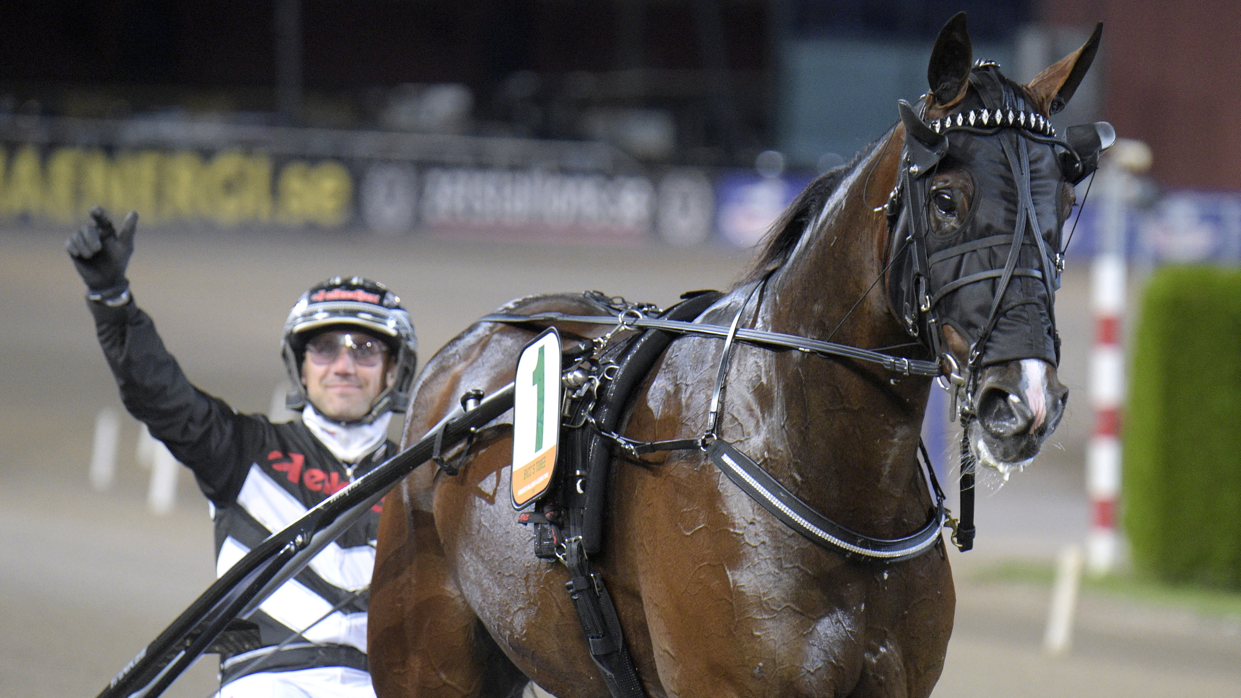 Emil Andersson travtips