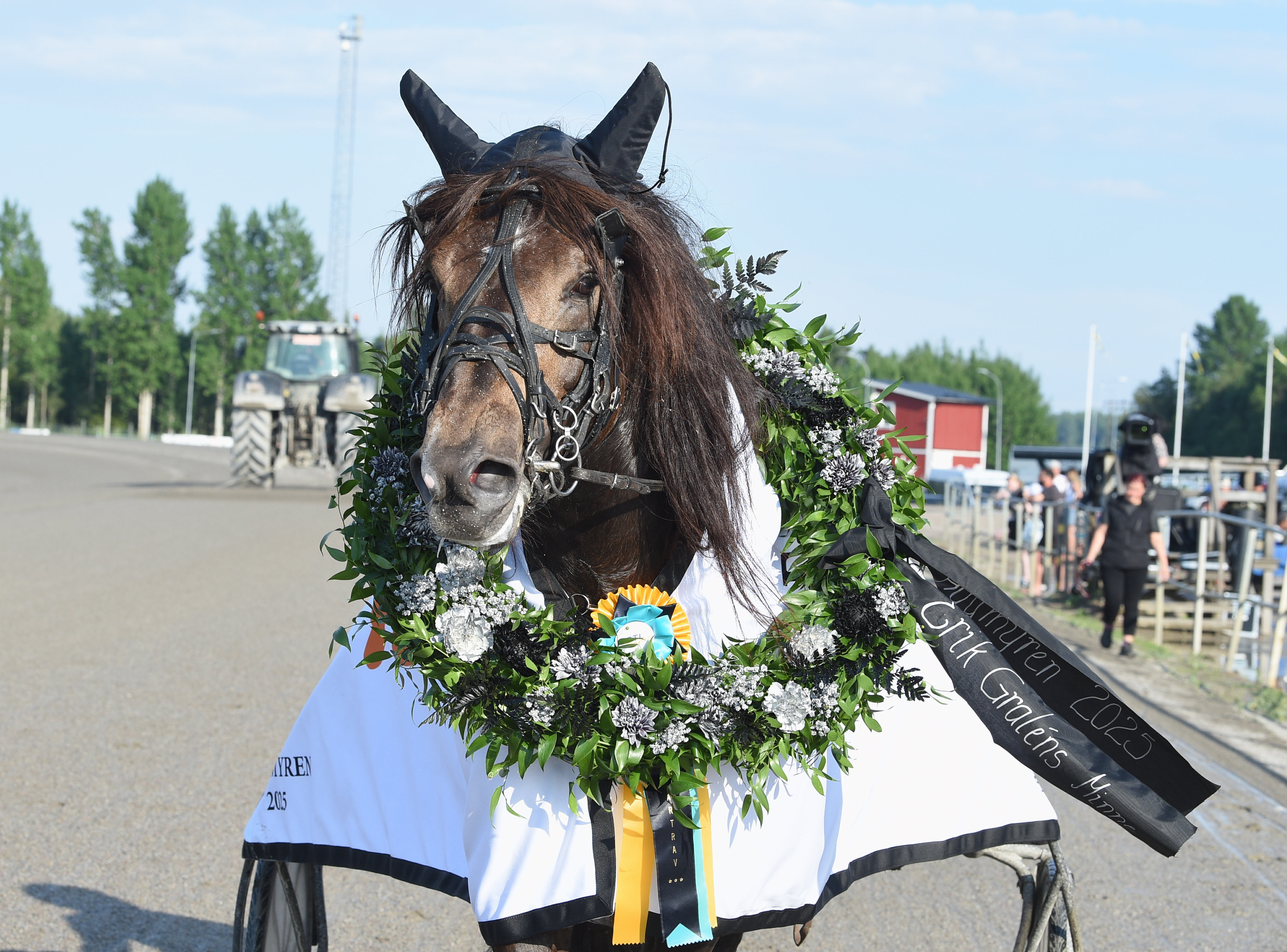 Emil Andersson travtips