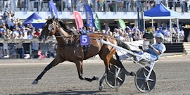 Emil Andersson travtips