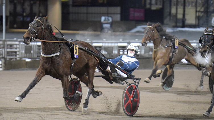 Travtips V85-tips Jägersro 11/4: Stoet är bara tuffast till slut!