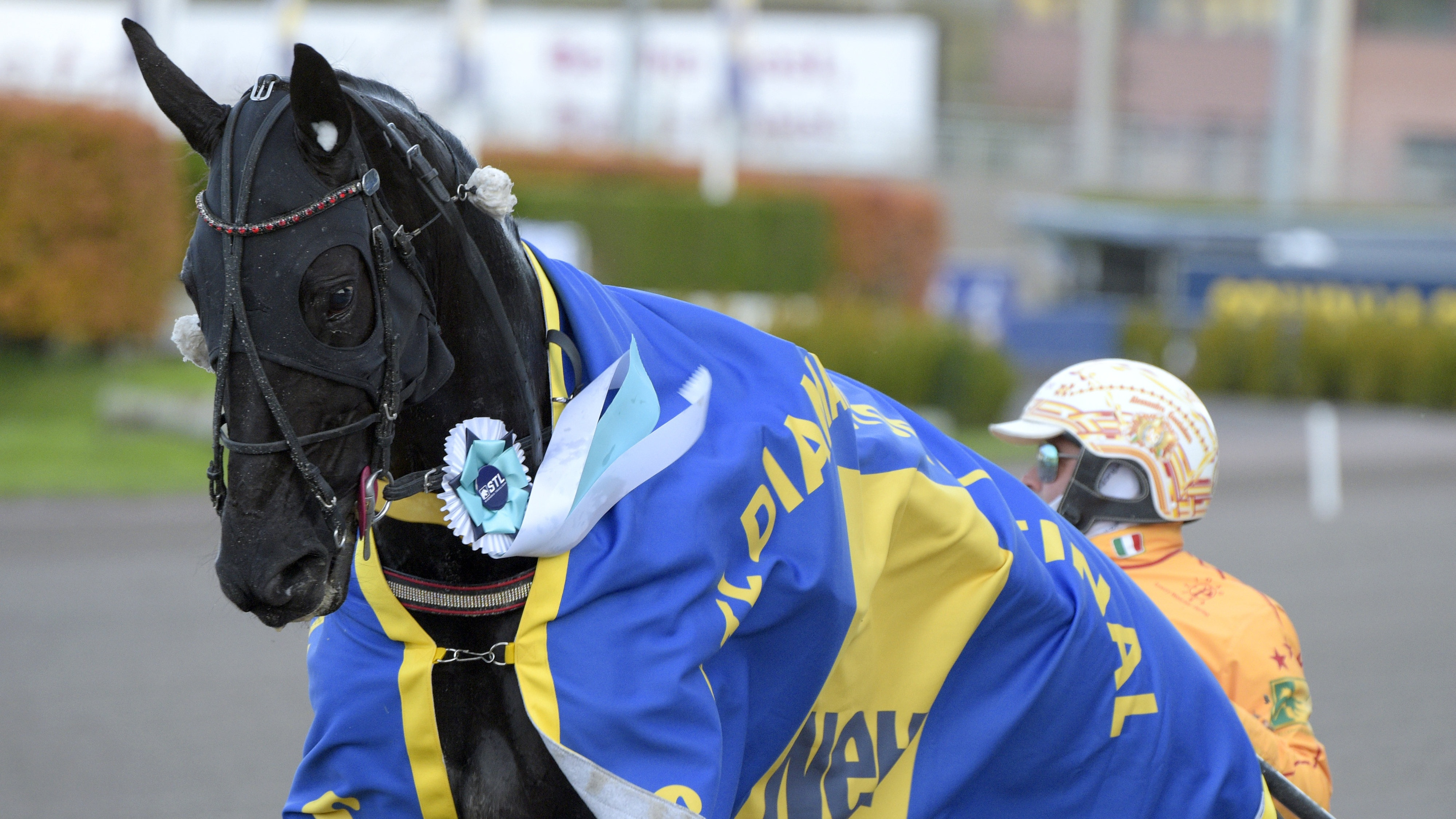 Christian Sandholm travtips