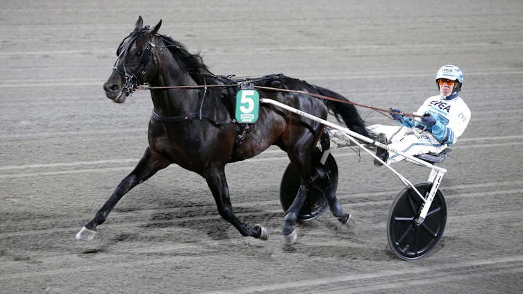 Travtips V86-tips Halmstad/Solvalla 8/4: Spännande årsdebut för den femfaldige Elitloppsdeltagaren!