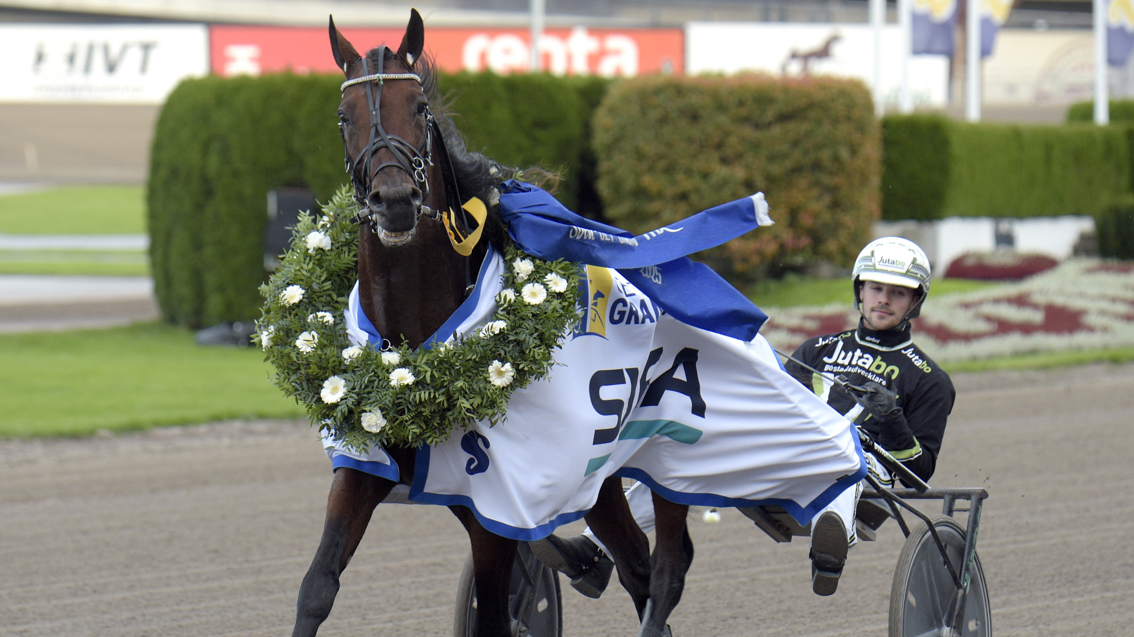 Travtips V85 Solvalla: Blir det spets och slut? Jag tror det!
