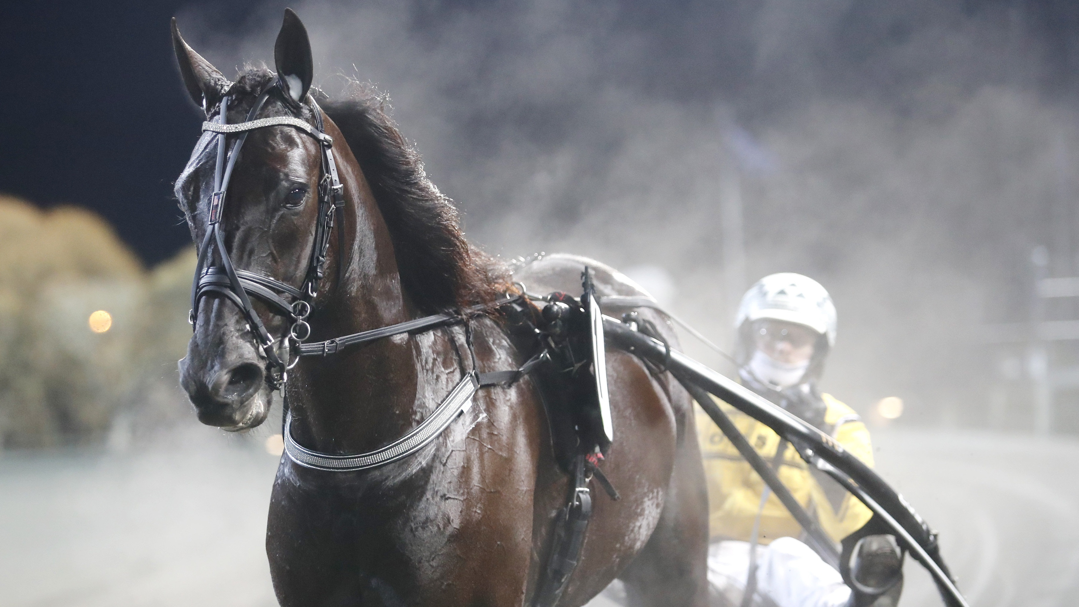 Emil Andersson travtips