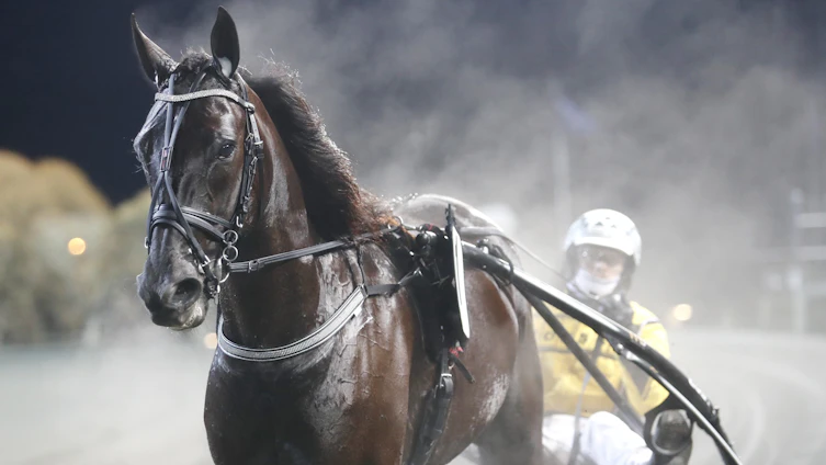 Travtips V85-tips Örebro 25/4: Underbar jackpot med potentiella elitloppshästar!