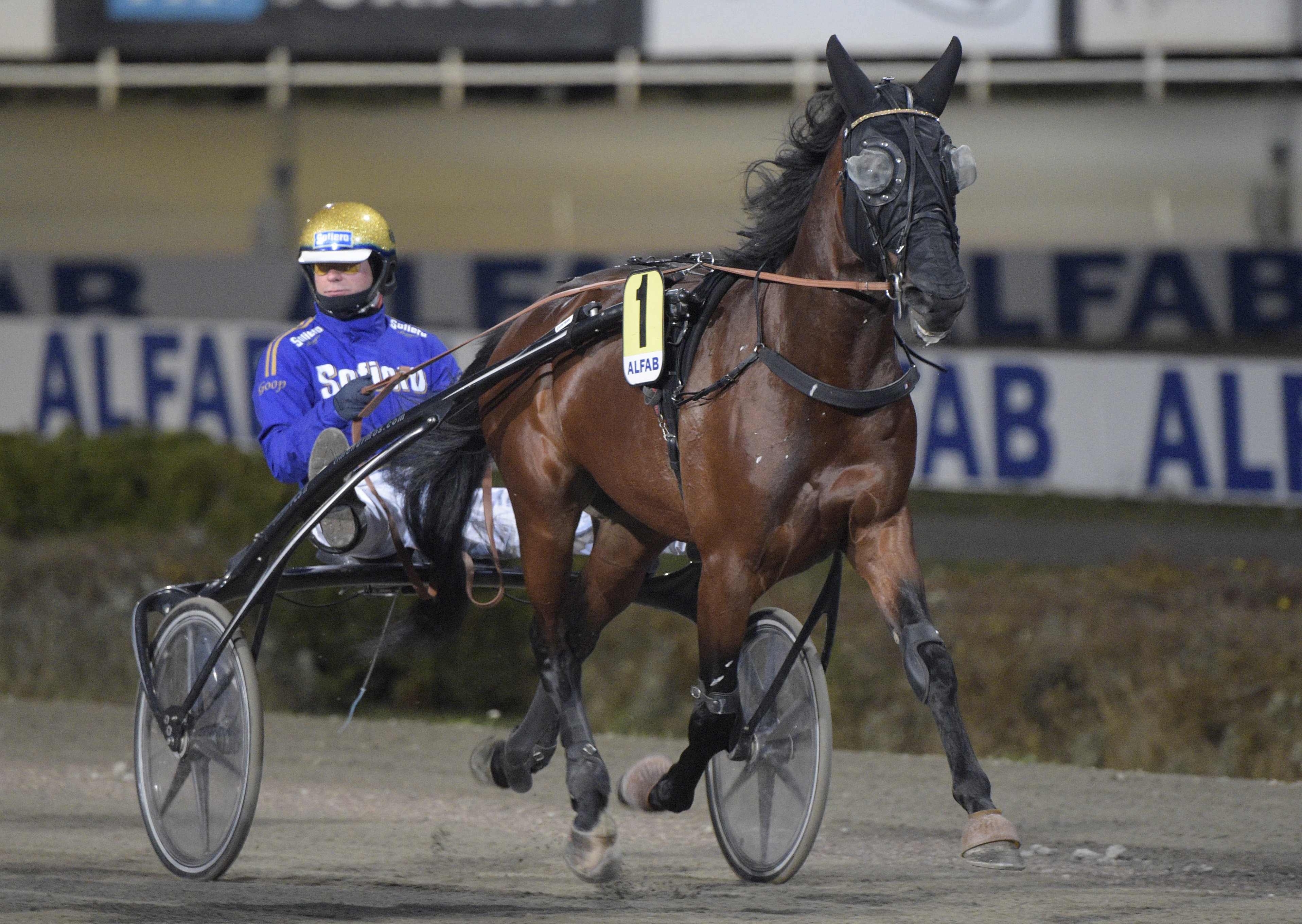 Emil Andersson travtips