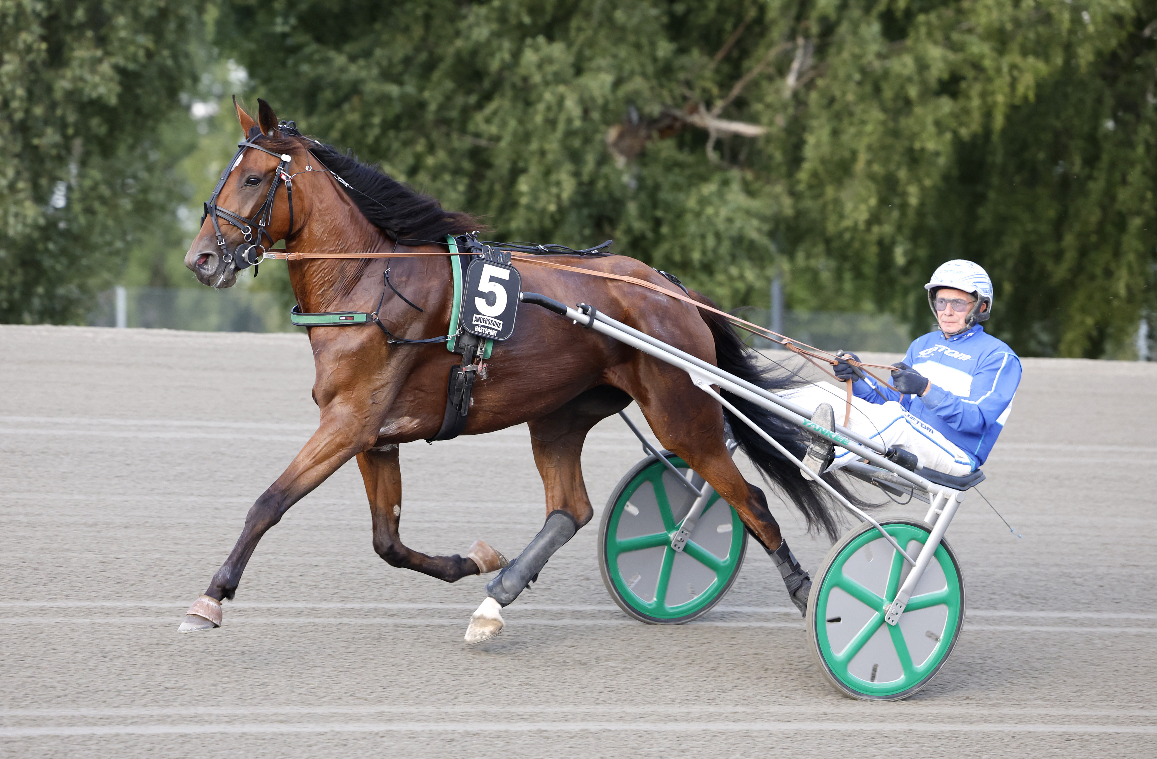 Christian Sandholm travtips