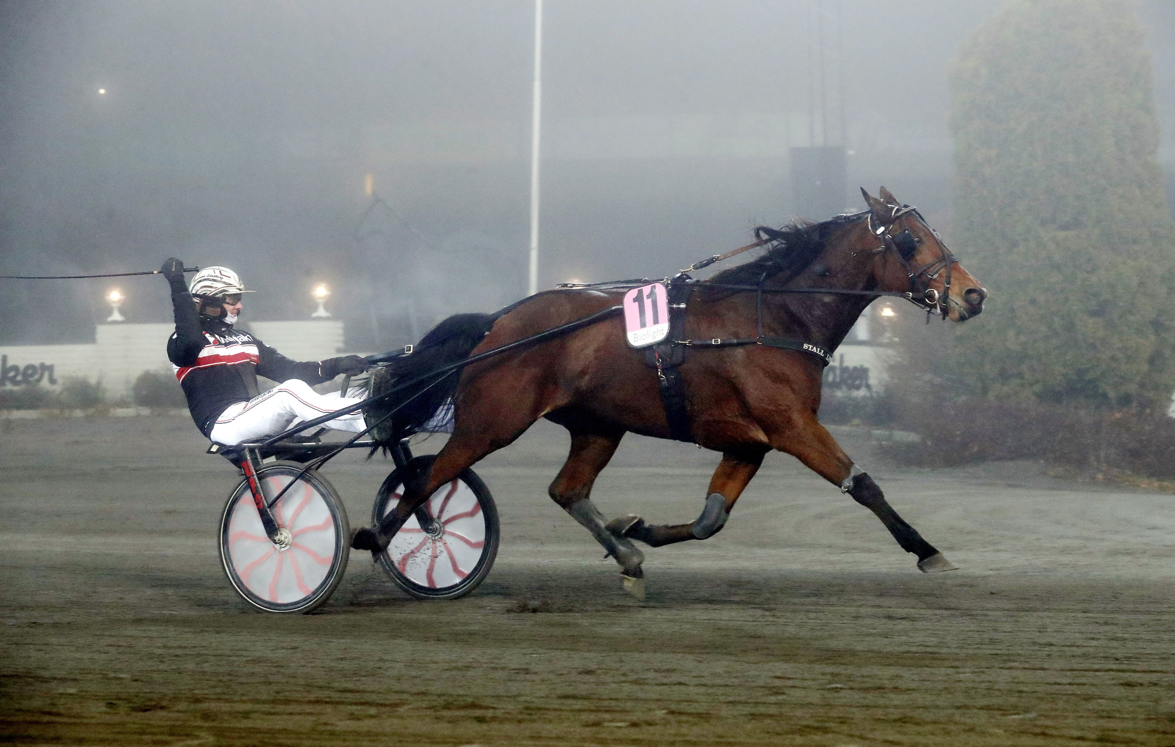 Uppsnack V85 travtips