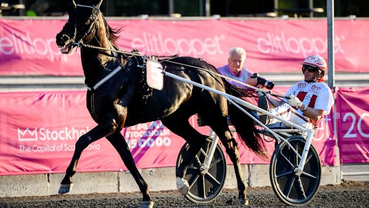 Travtips V85-tips: Jackpot vinner i jackpotomgången