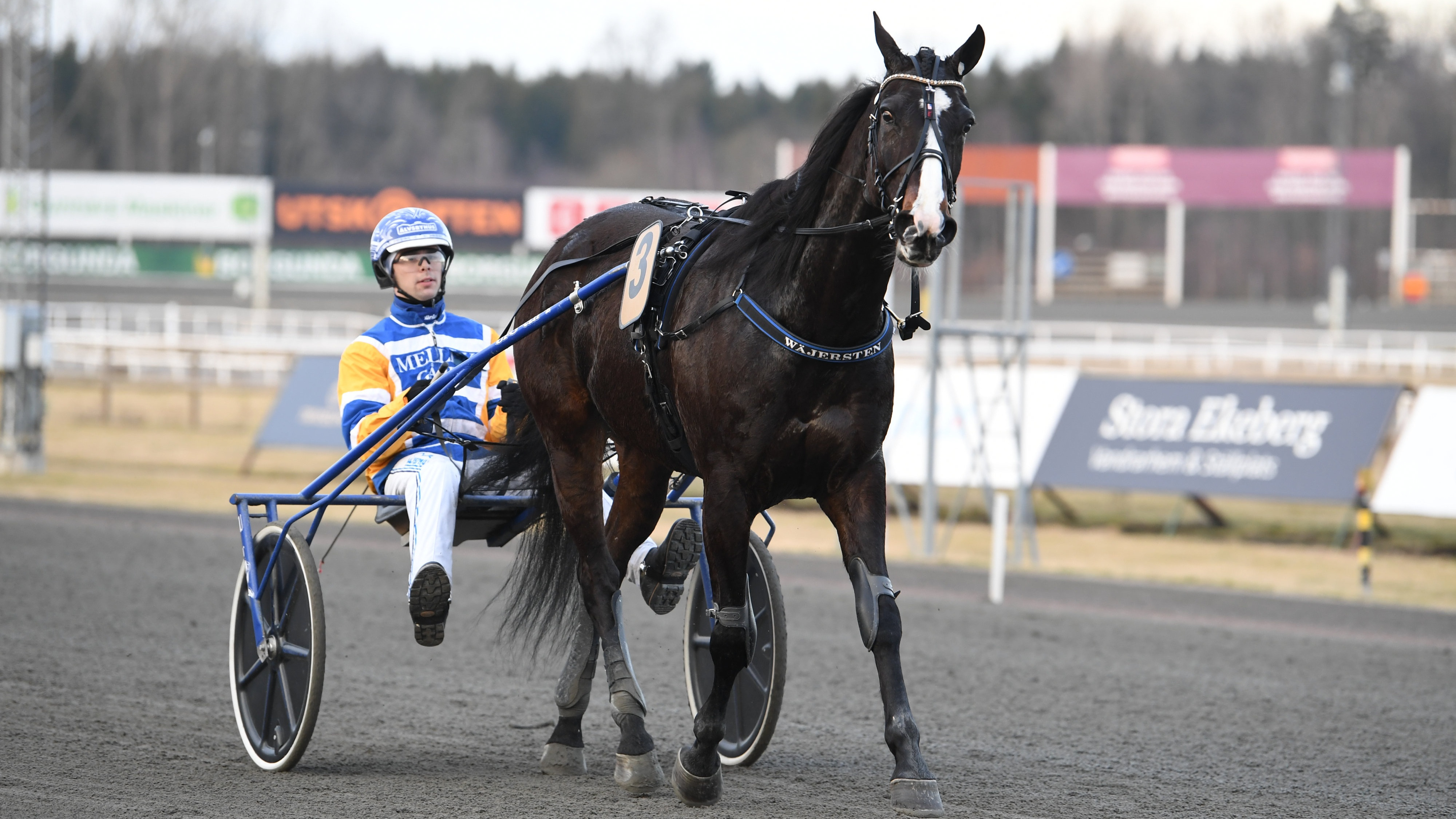 Uppsnack V85 travtips