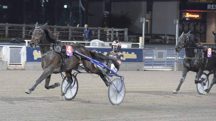 Travtips V86 tips: Satt klistrad i rygg senast!