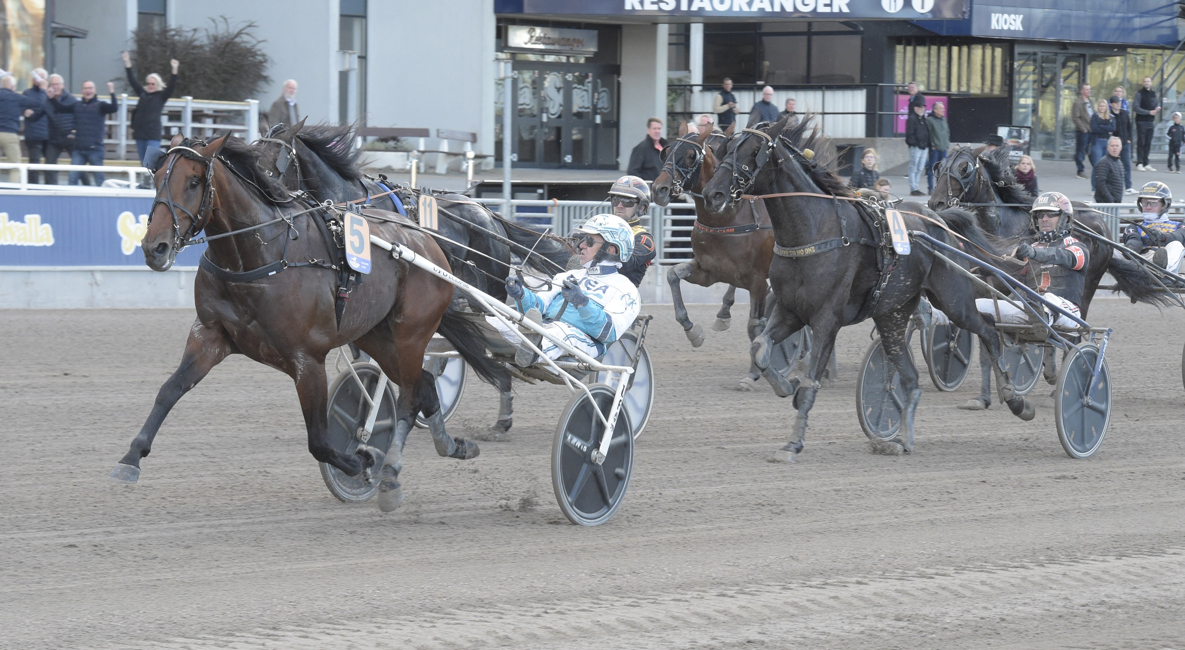 Erika Pajari travtips