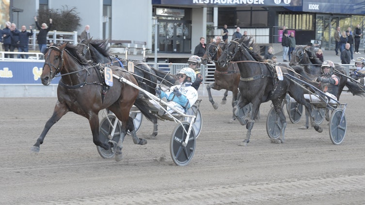 Travtips V85-tips Eskilstuna: Han har en riktig toppchans