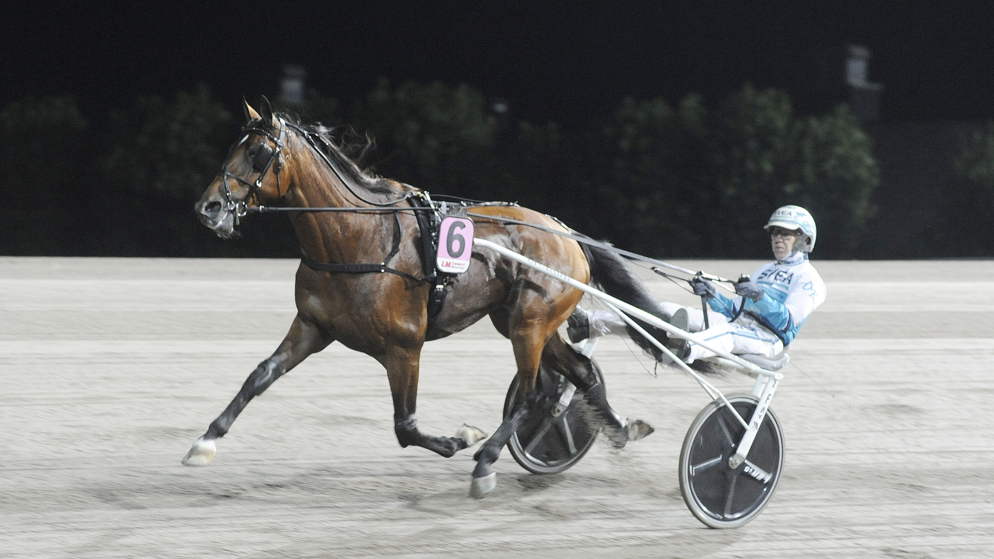 Emil Andersson travtips