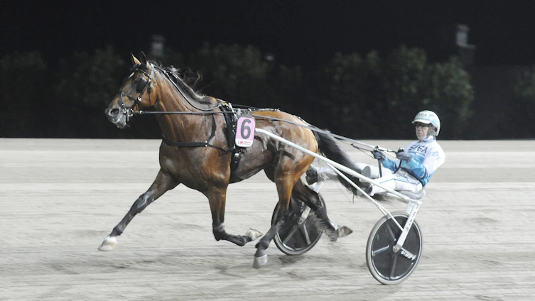 Travtips V85-tips Gävle 23/5: "Poleposition hade givetvis varit det bästa!"