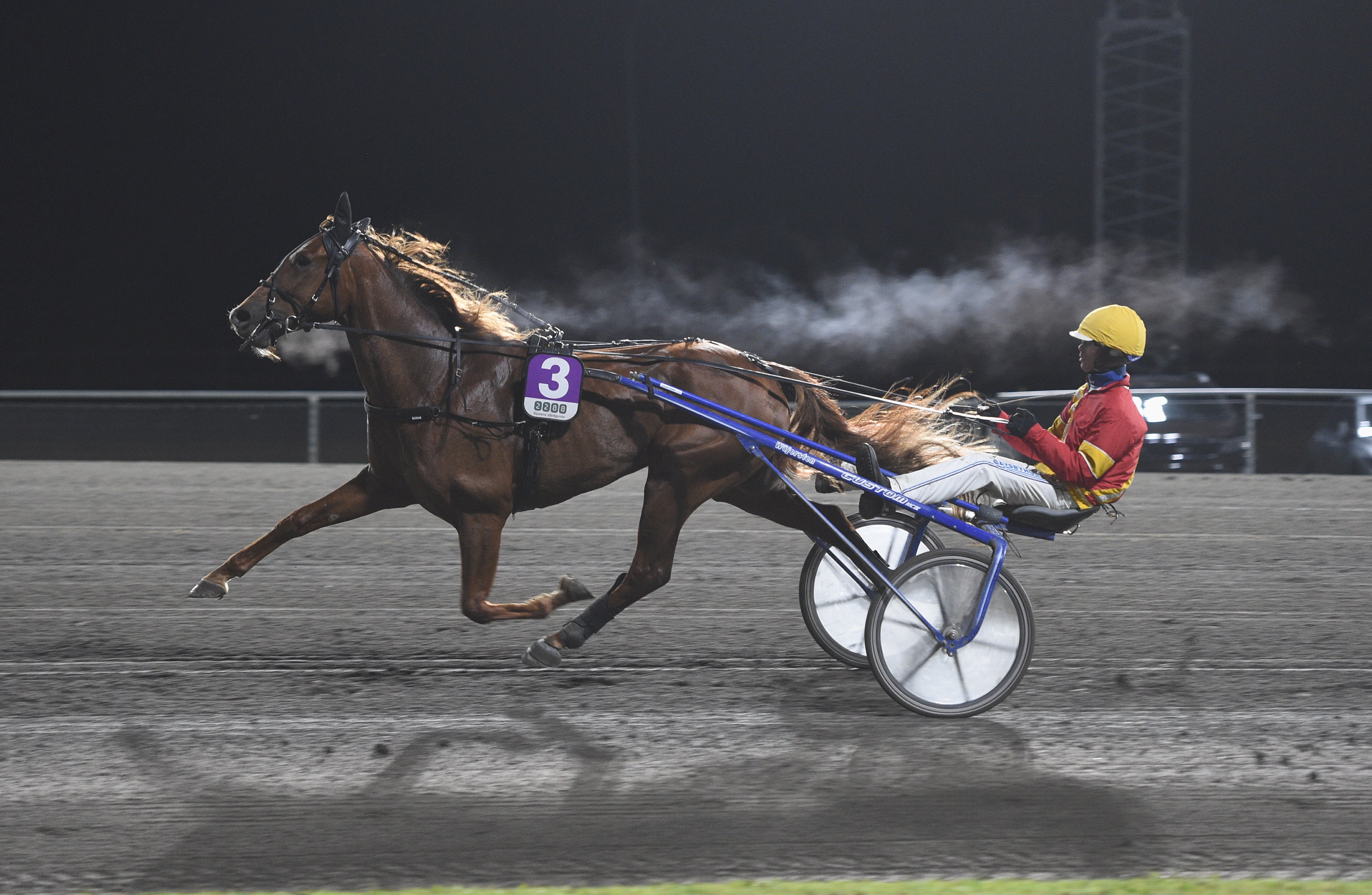 Emil Andersson travtips