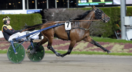 Jimmie Nordberg travtips