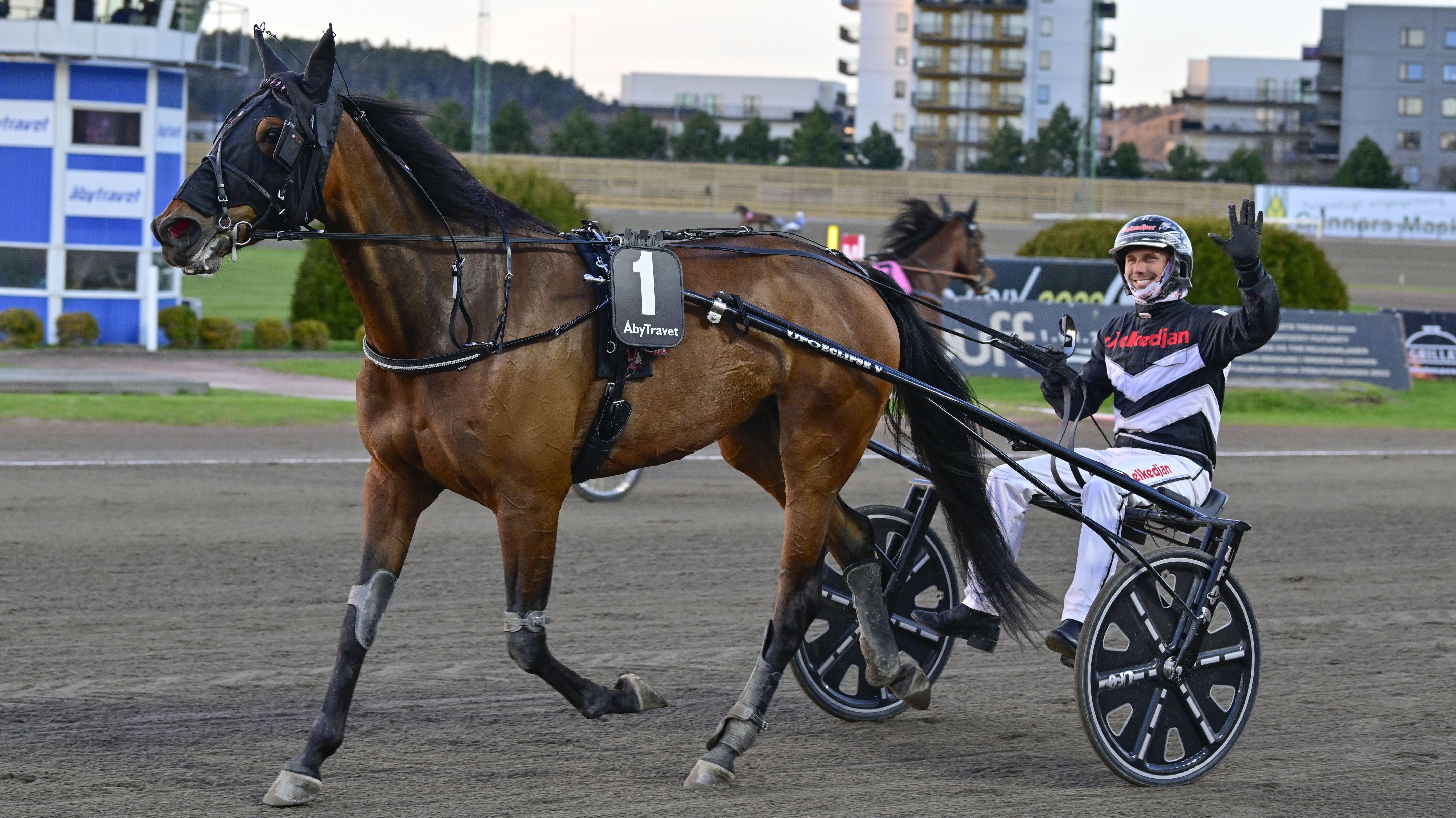 Emil Andersson travtips