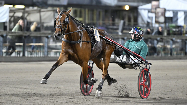 Travtips V85-tips: Kan vi få en Ideal avslutning på omgången