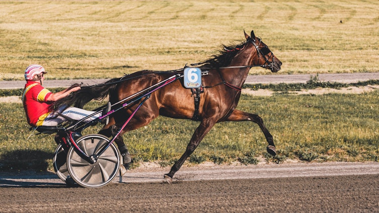 Travtips V75-tips: Blir det eldorado för eldorado