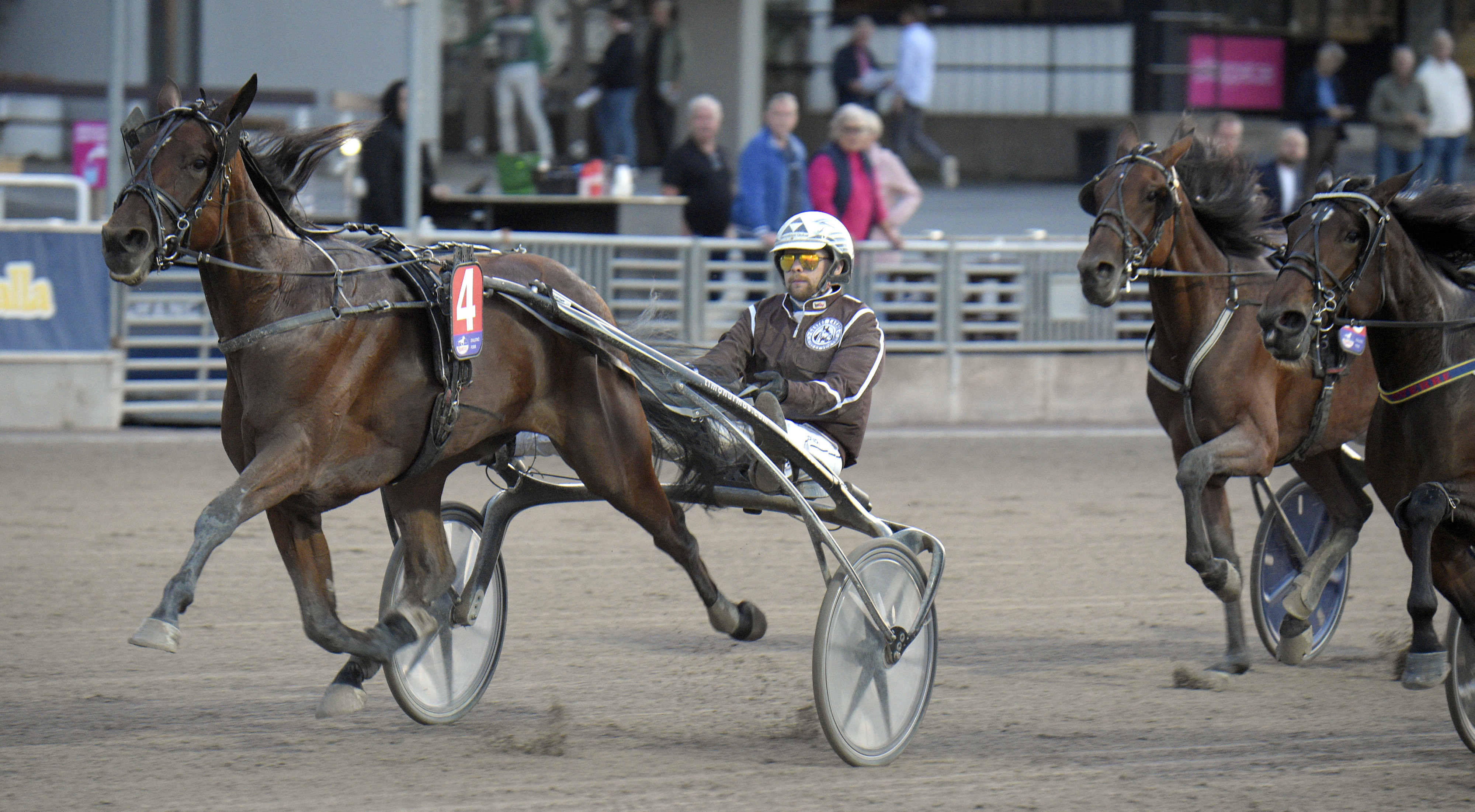 Travtips V86 onsdag: Jag litar på fyraåringen