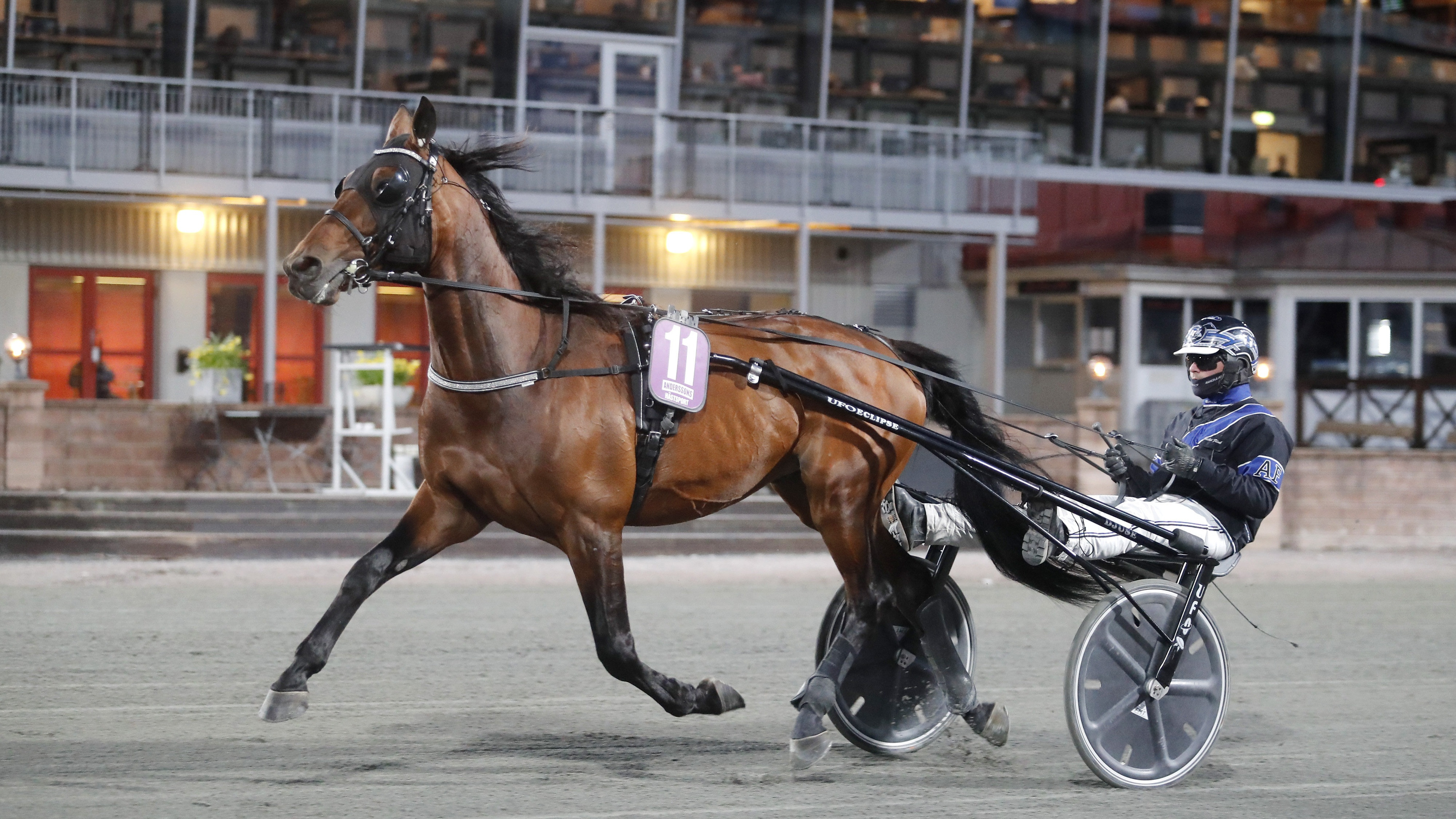 Christian Sandholm travtips