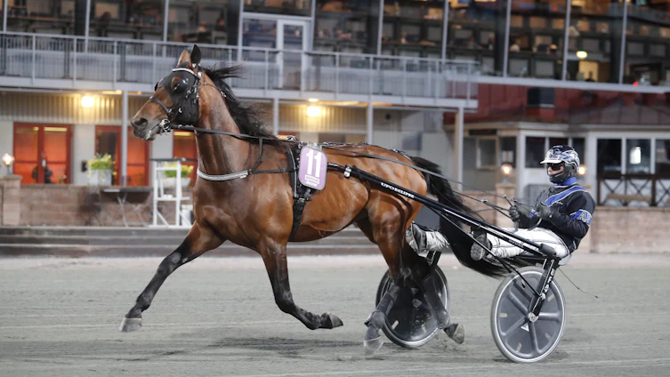 Travtips Jackpottanalys GS75 - Elitloppsfredagen