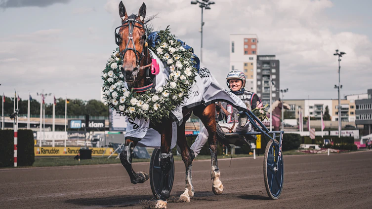 Travtips V85 Analys Åby - Kolgjinishow och flaggdag