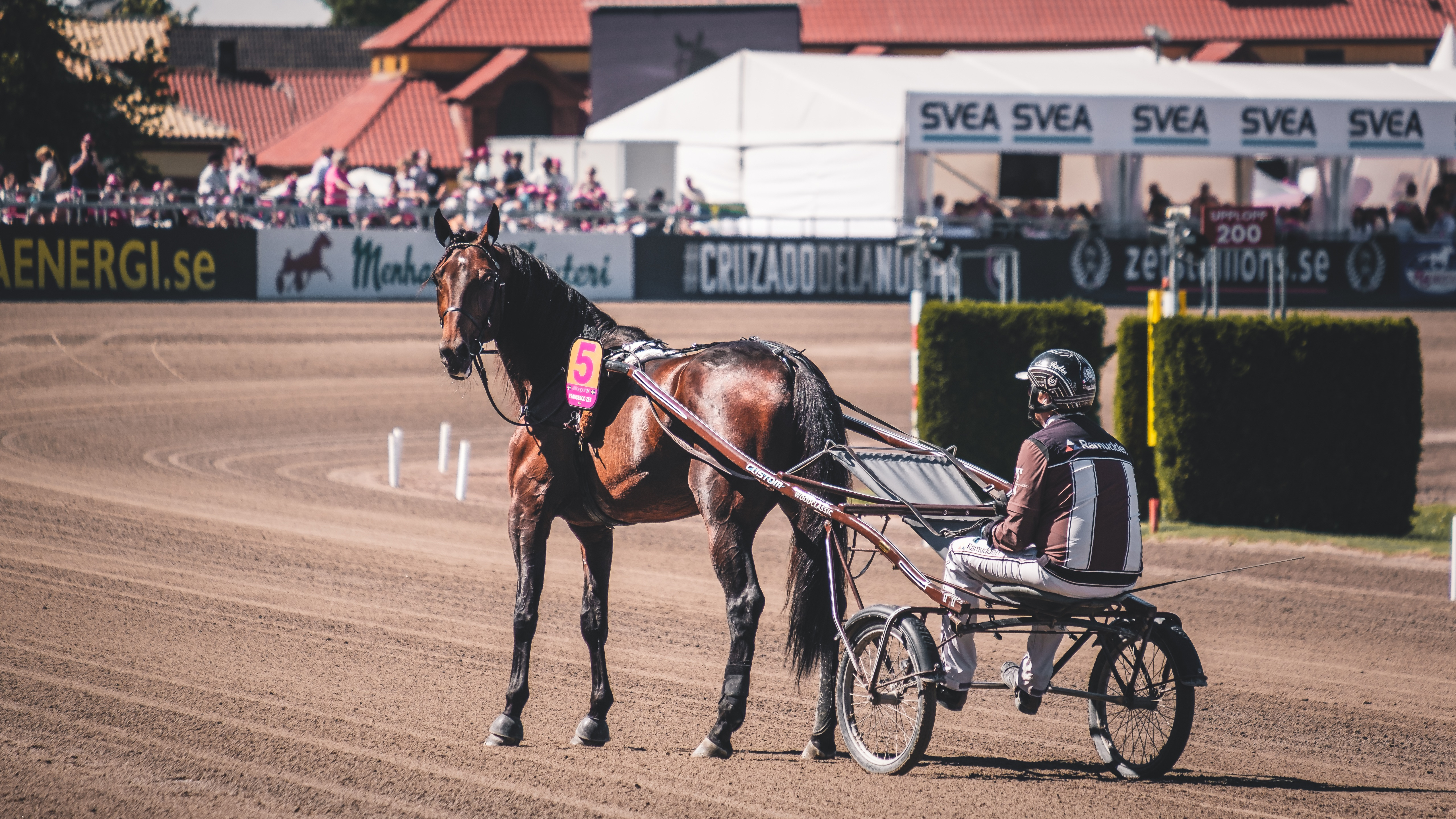 Jimmie Nordberg travtips