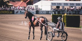 Christian Sandholm travtips