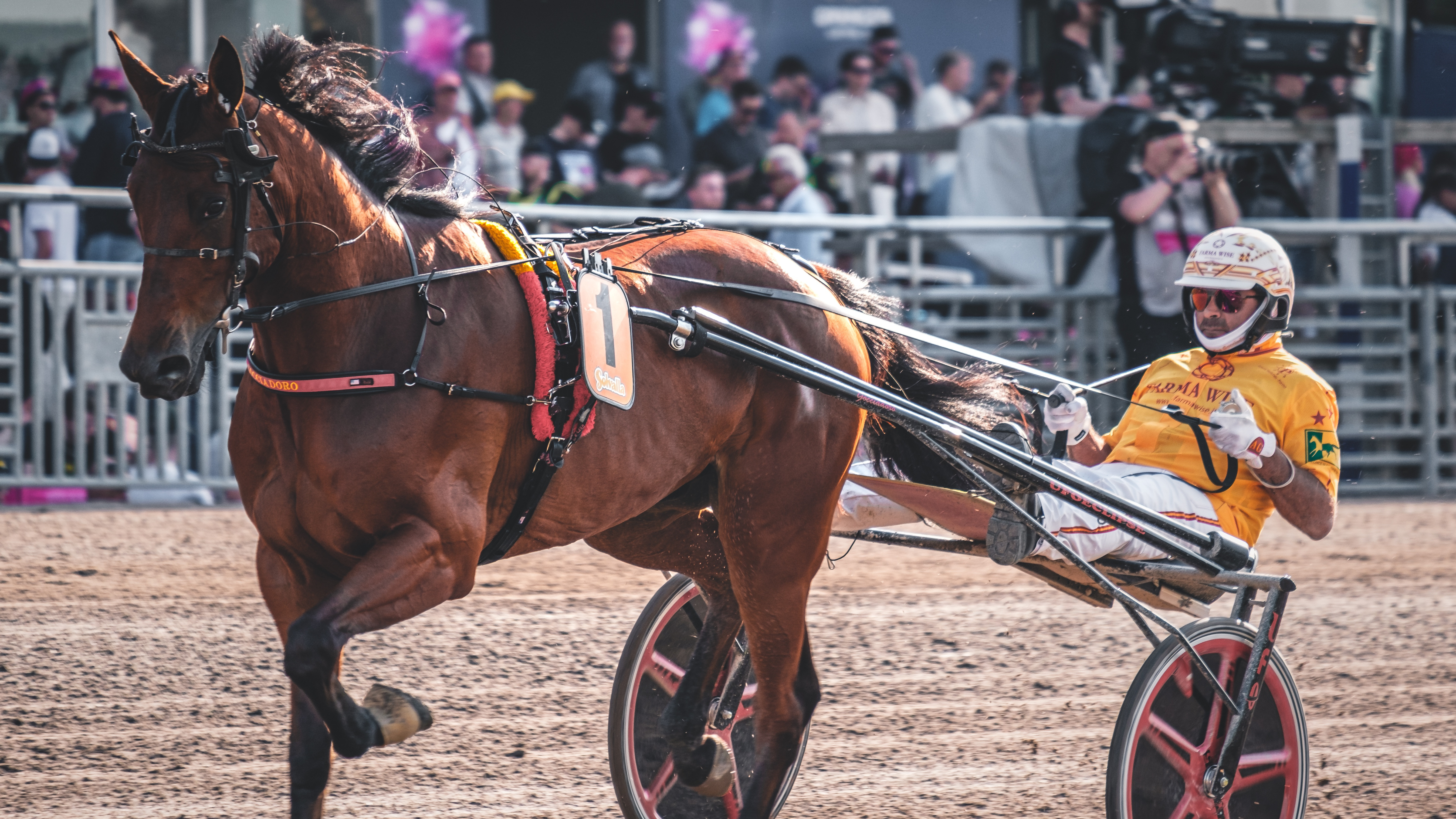 Travtips V86-tips: Gocciadoro har laddat