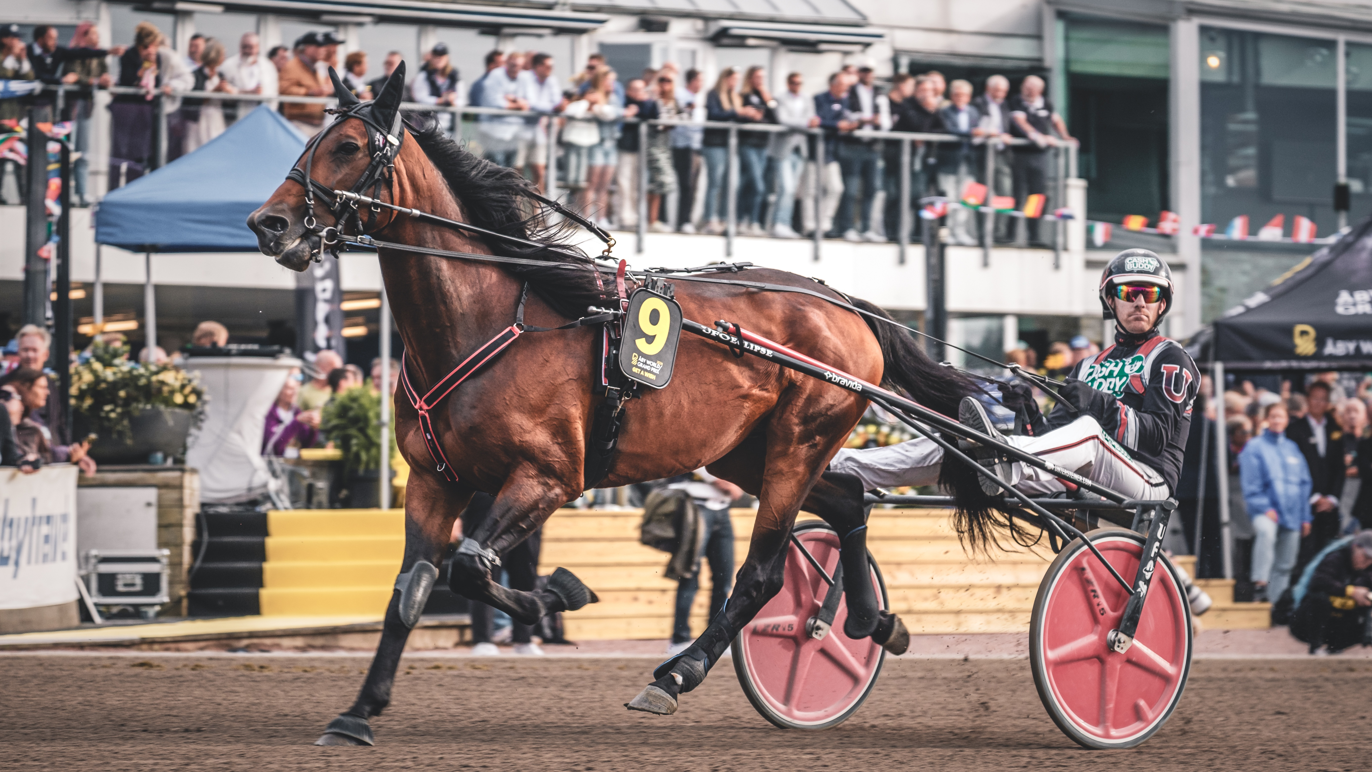 Christian Sandholm travtips