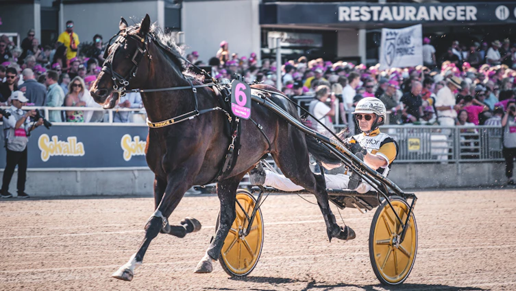 Travtips V85 tips: Jägersro 11 april – "Slängt ut TVn innan Masked Singer" | Uppsnack V85