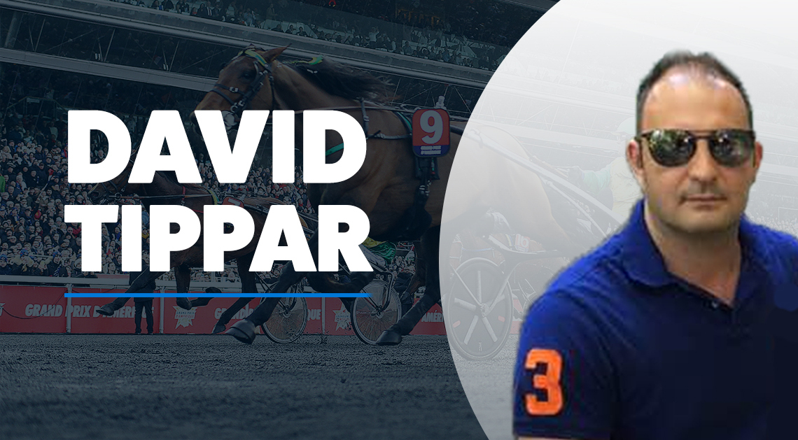 David  Dabeskovic travtips