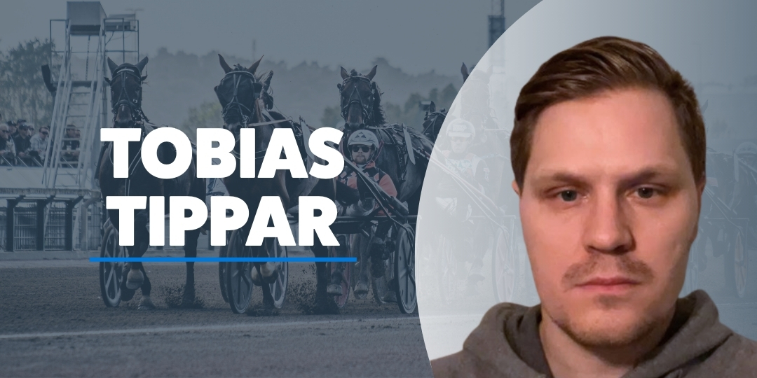 Tobias Romander travtips