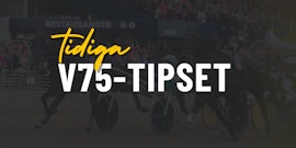 Redaktionen travtips