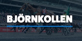 Björnkollen travtips