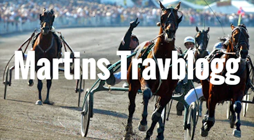 Martins_travblogg