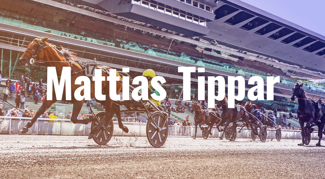 Mattias Karlsson travtips