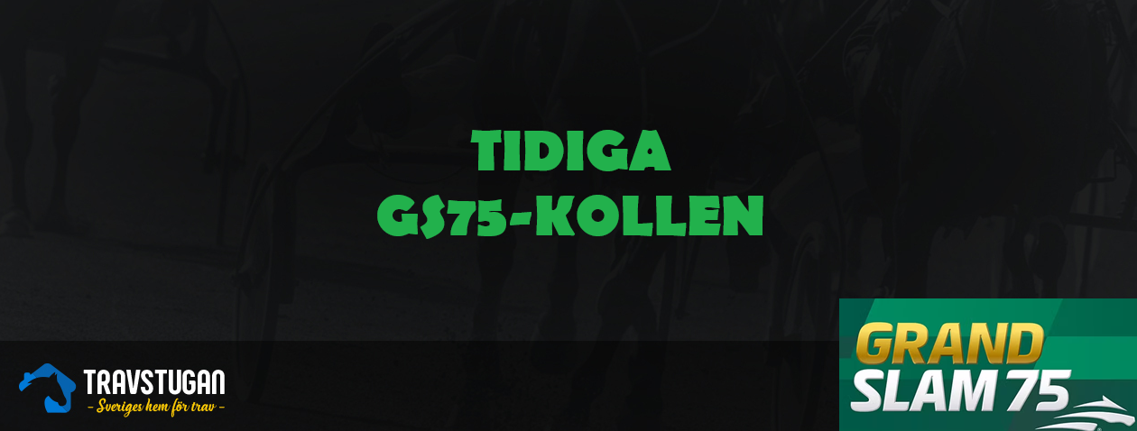 Redaktionen GS75 travtips