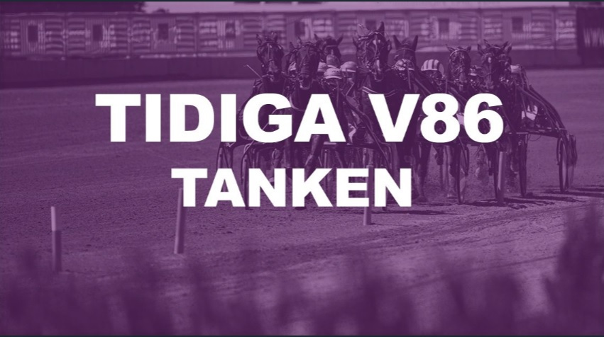 Redaktionen V86 travtips